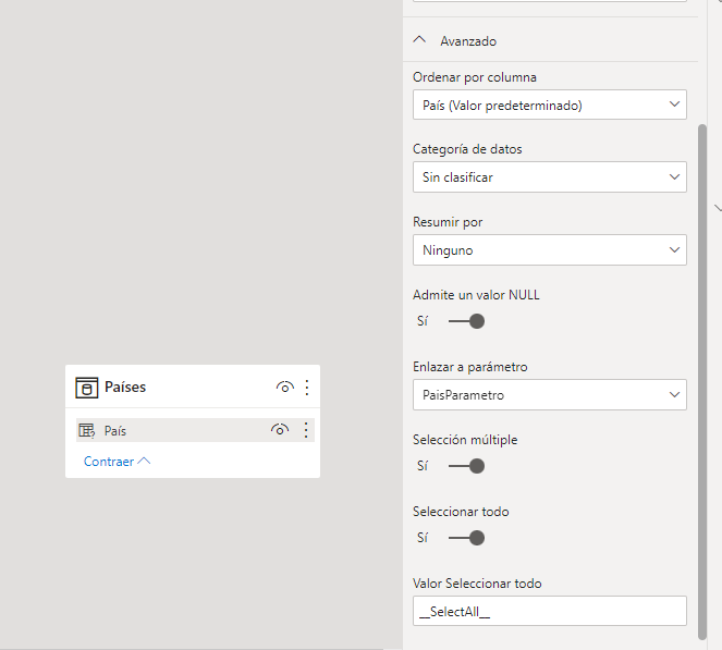 dataXbi-parametro-dinamico-configuracion-avanzada-columna-pais