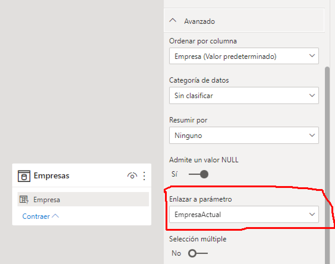 dataXbi-parametro-dinamico-configuracion-avanzada-columna