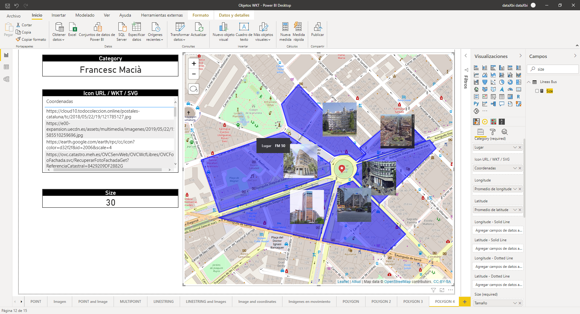 Icon Map multiples polígonos con imágenes